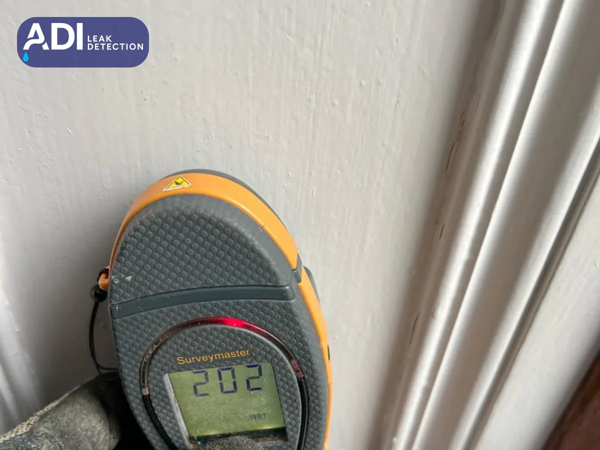 Damp meter reading taken on a wall in the Crosshill flat